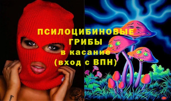 мяу мяу мука Алексин