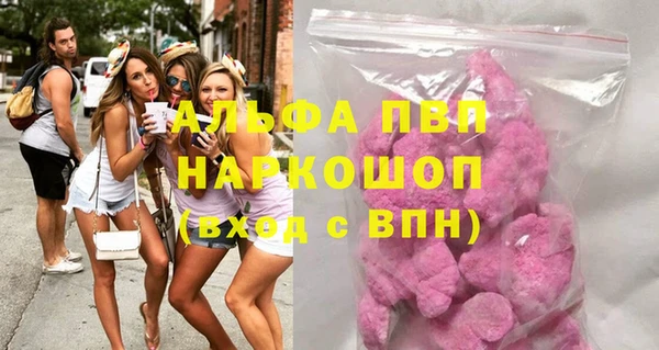 хмурый Алзамай