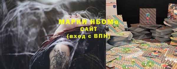 хмурый Алзамай
