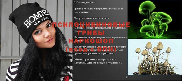 ешки Алексеевка