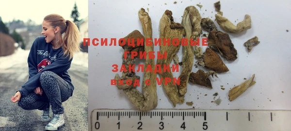 хмурый Алзамай