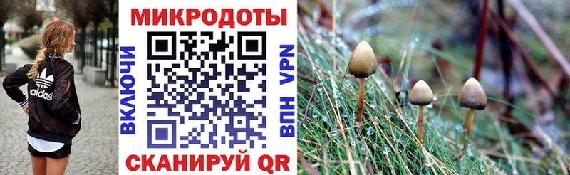 Псилоцибиновые грибы Magic Shrooms  Сосновка 
